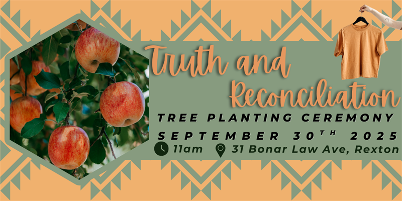 Carnival_board_(256_x_128_px)_(52)(1)