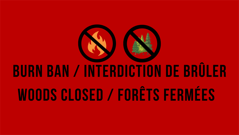 White_Simple_Mens_Fitness_Motivational_Quote_Facebook_Cover_Photo_(1)