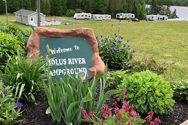 molus-river-camp